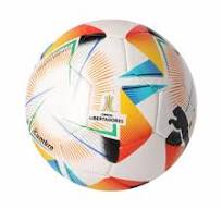 Pelota Fútbol Puma Cumbre Conmebol Libertadores Blanco/Multicolor