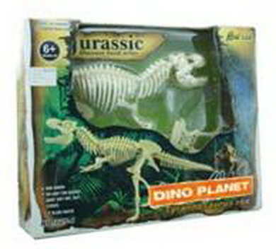 Assembly of dinosaur fossils